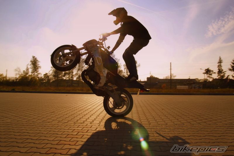 Photo 1452246