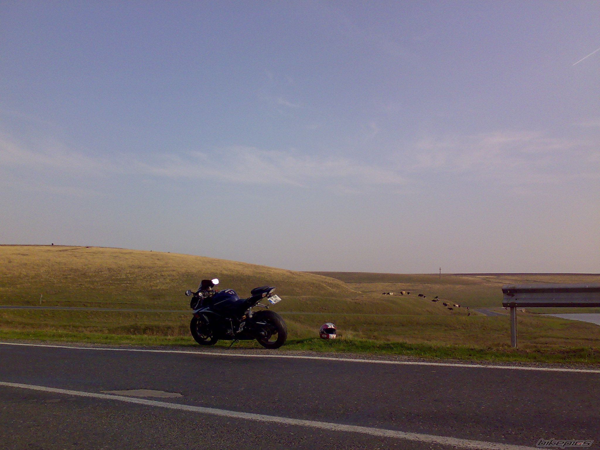 Photo 1452326