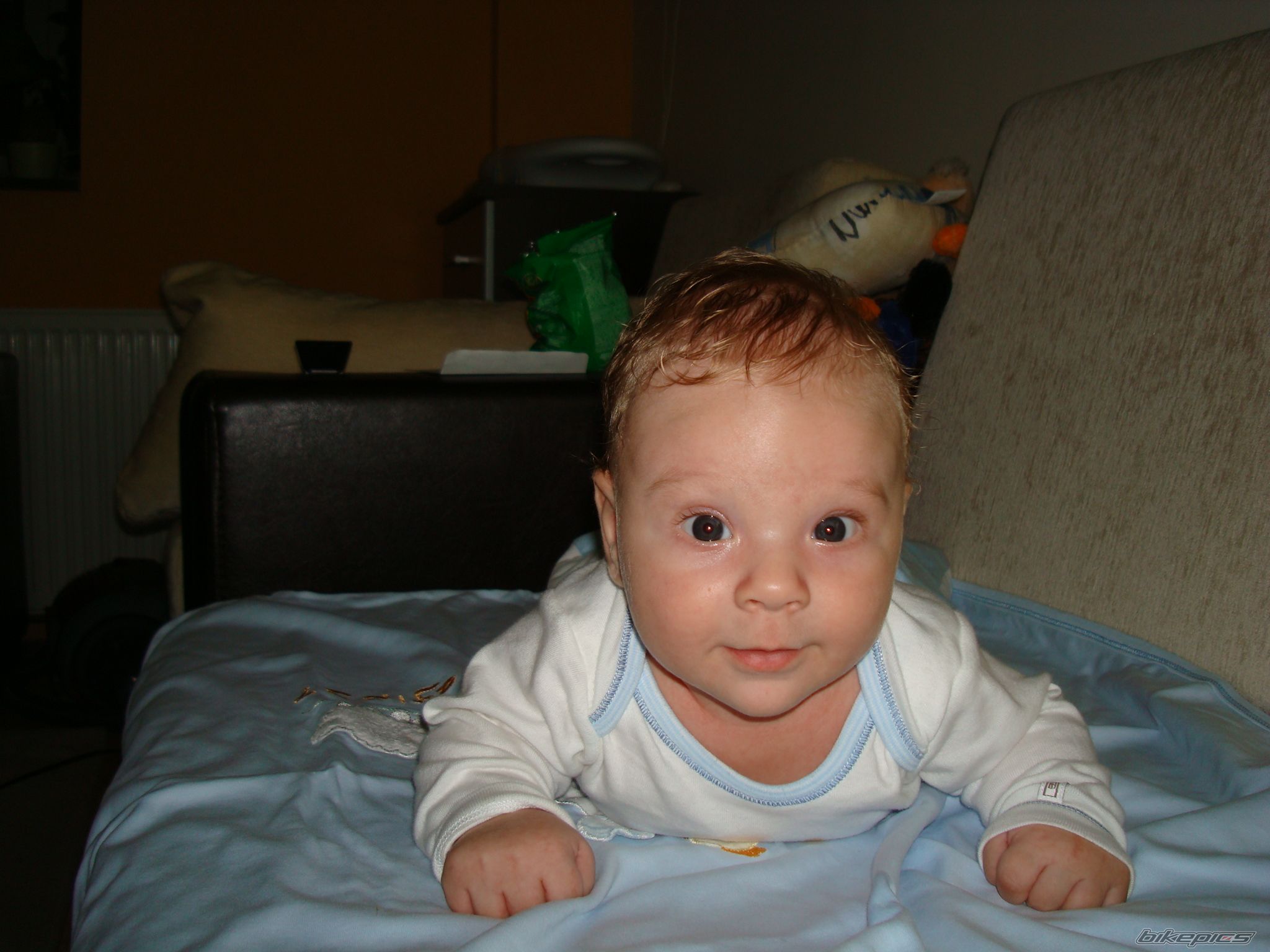 Photo 1452360
