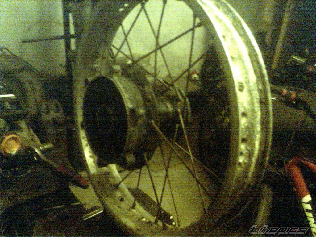 Photo 1452405