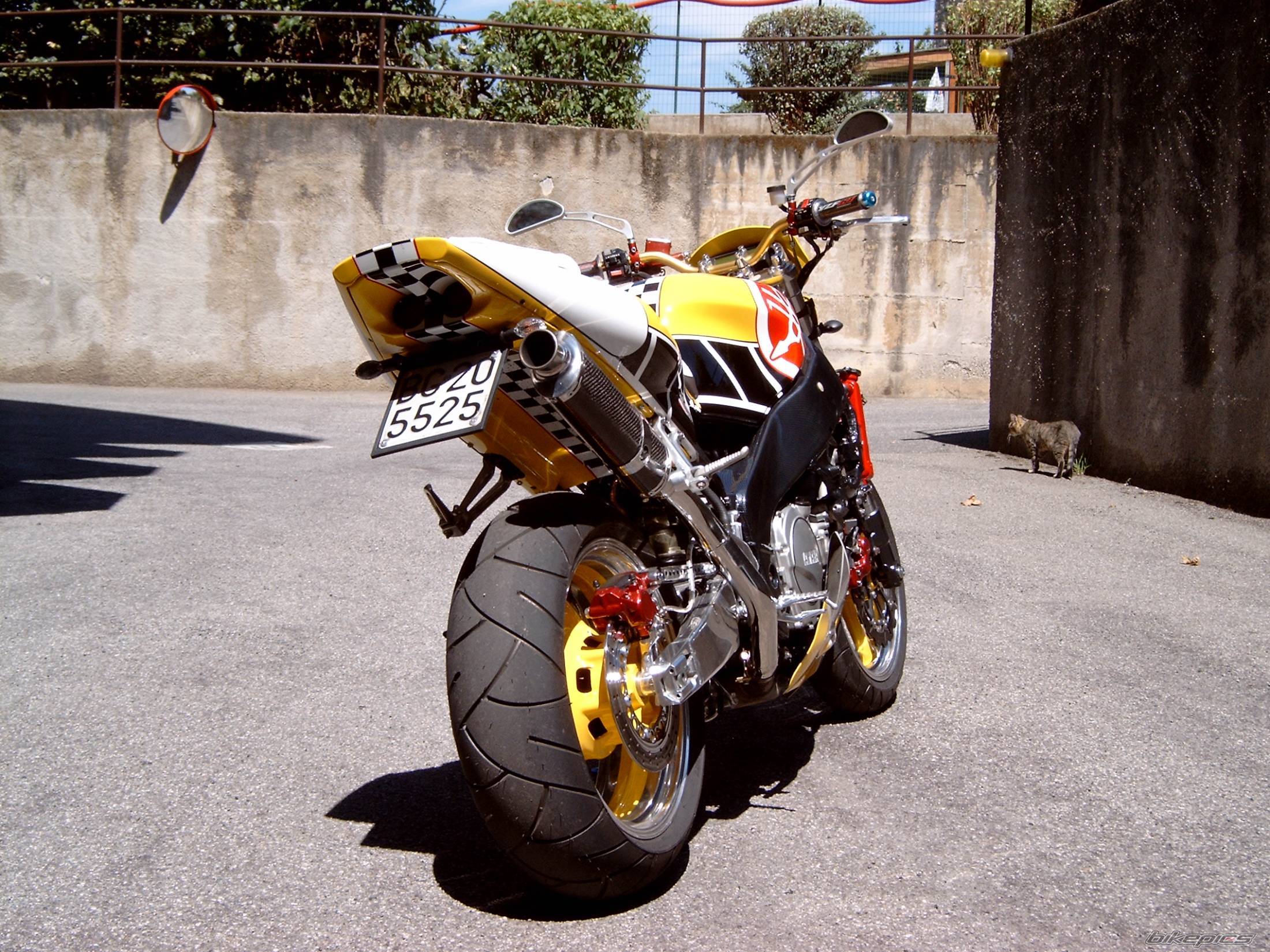 Photo 145242