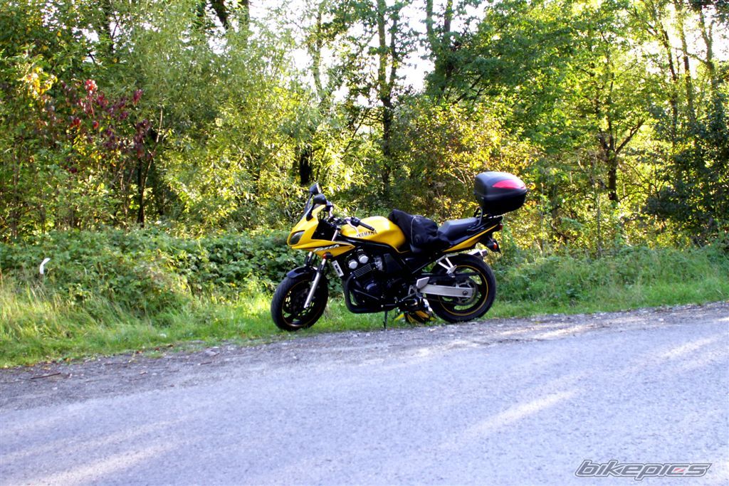 Photo 1452563