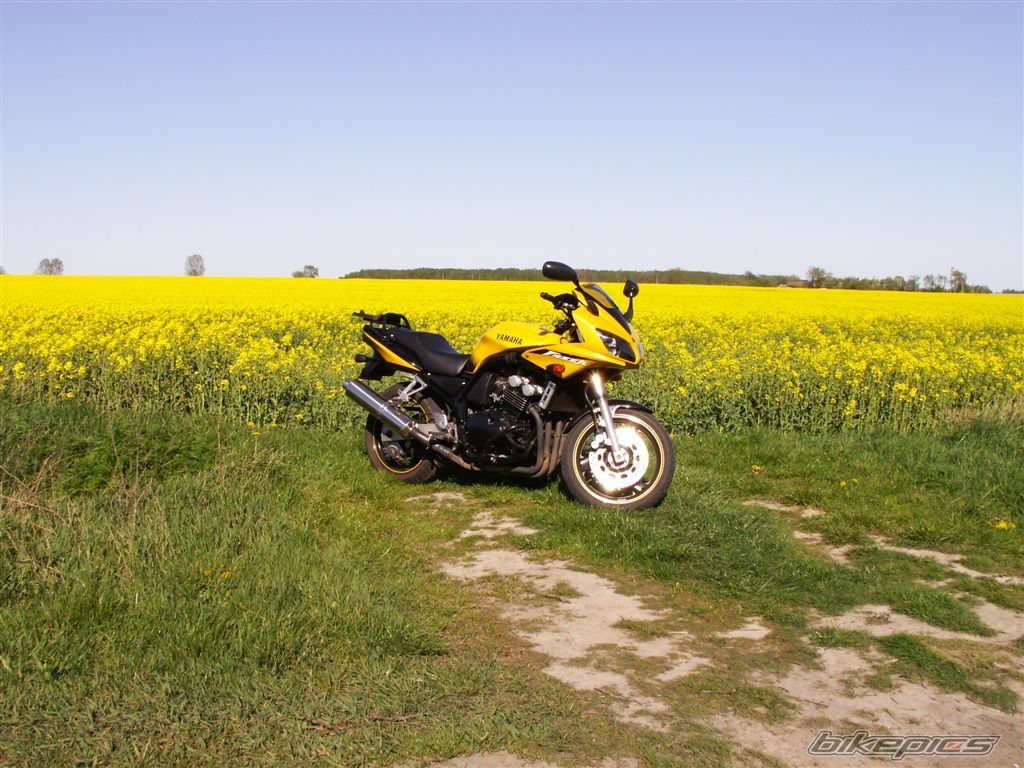 Photo 1452598