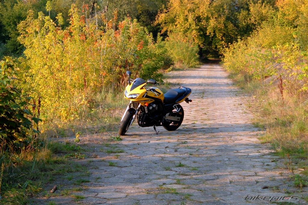 Photo 1452624