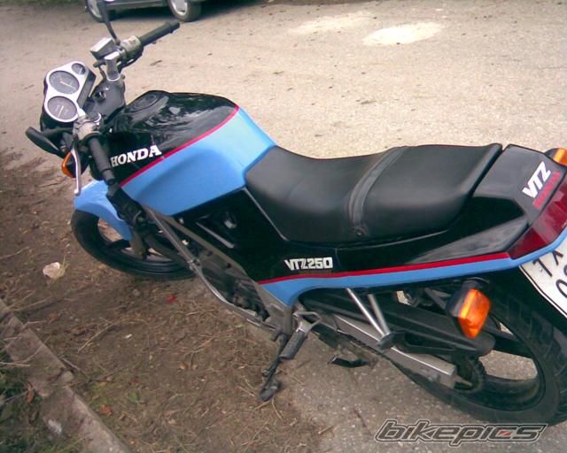 Photo 1452647