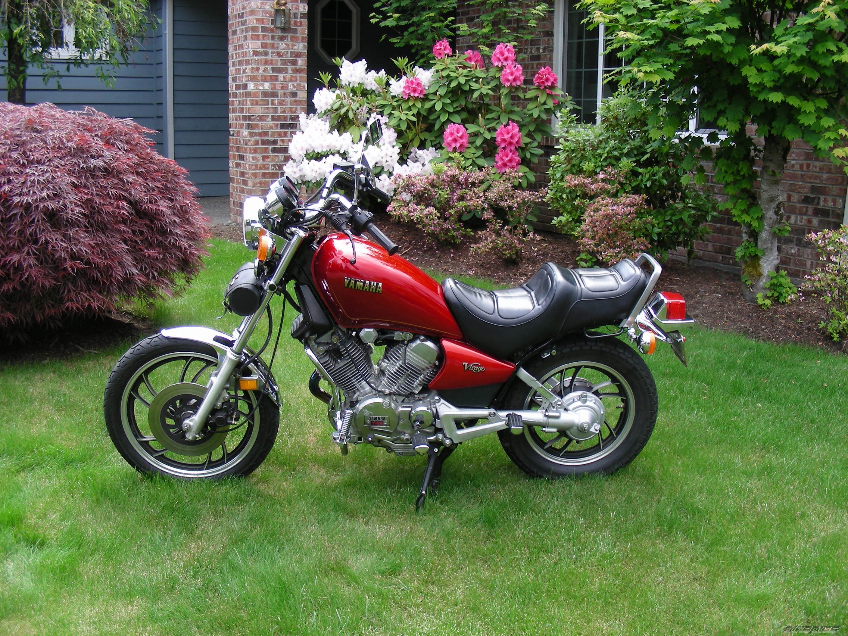 Photo 1452689