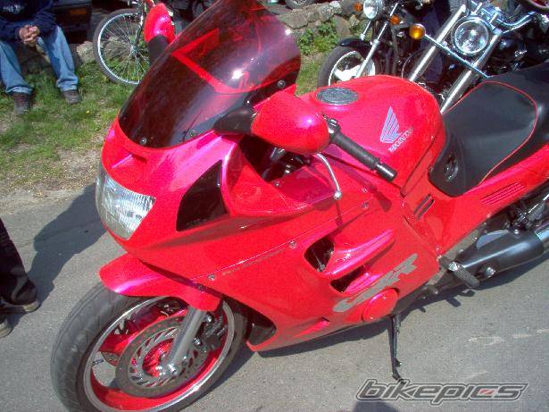 Photo 145271