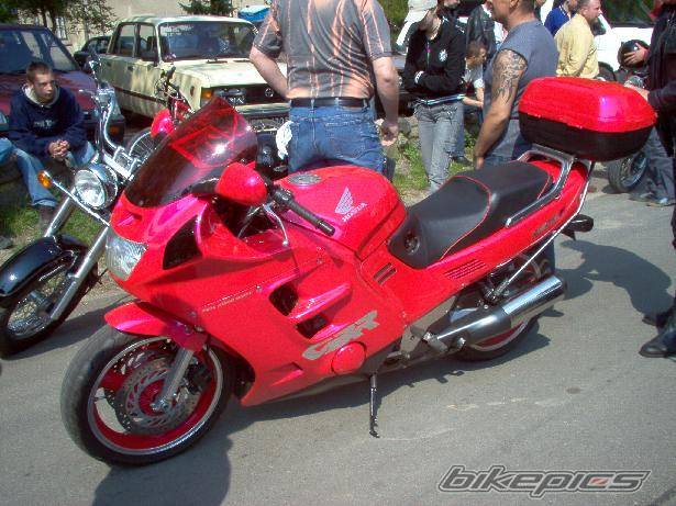 Photo 145272