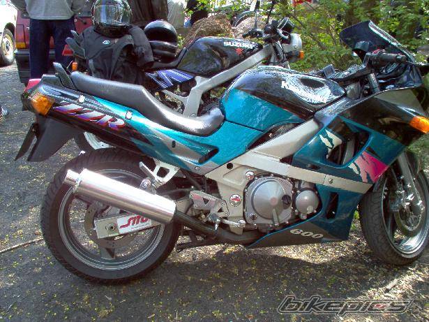 Photo 145276