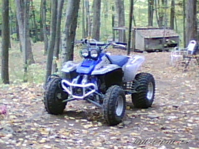 Photo 1452771