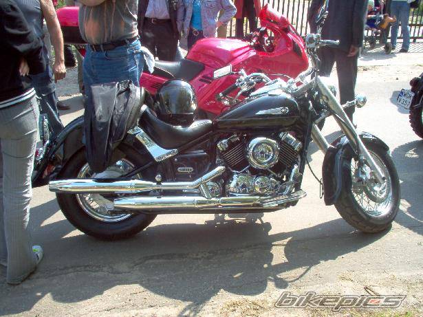 Photo 145278
