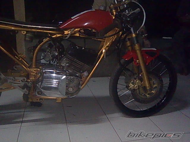 Photo 1452904