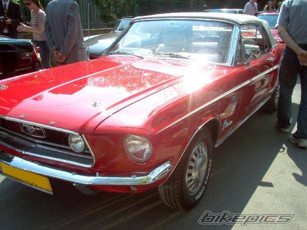 Photo 145295