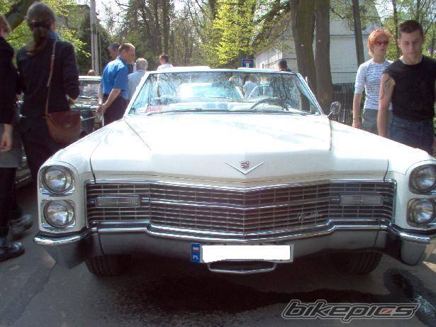 Photo 145297