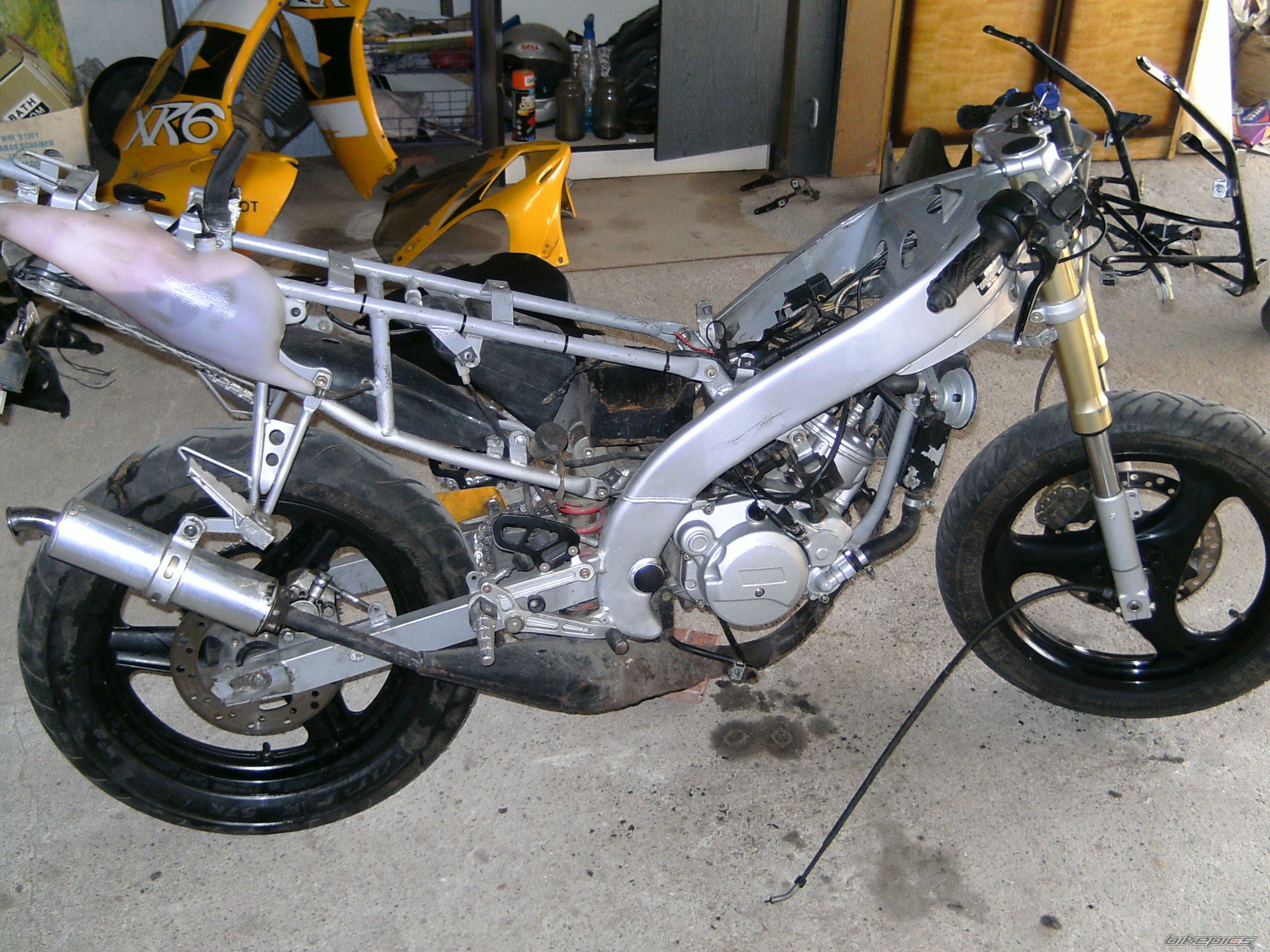 Photo 1453014