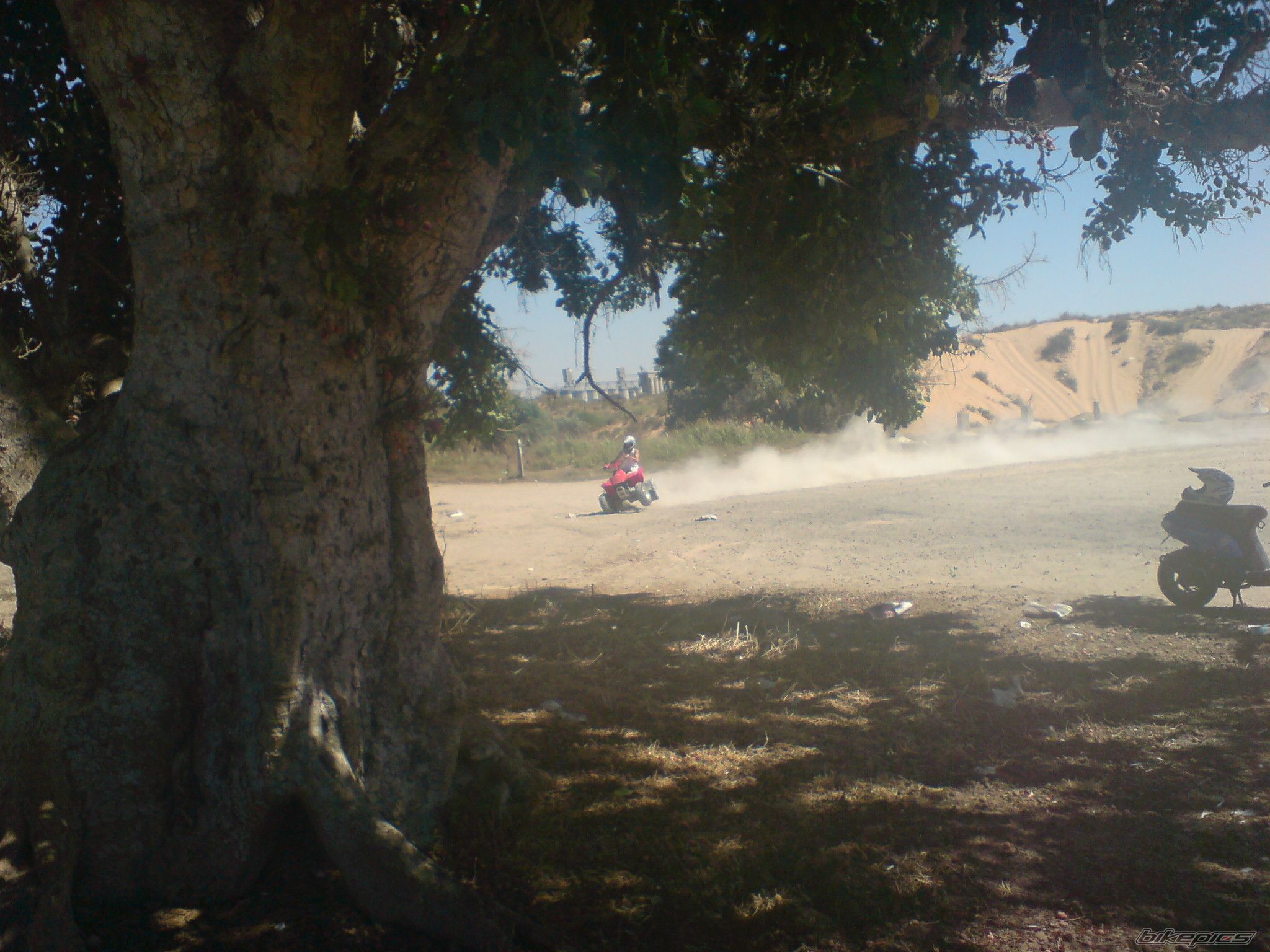 Bike Photo 1453031