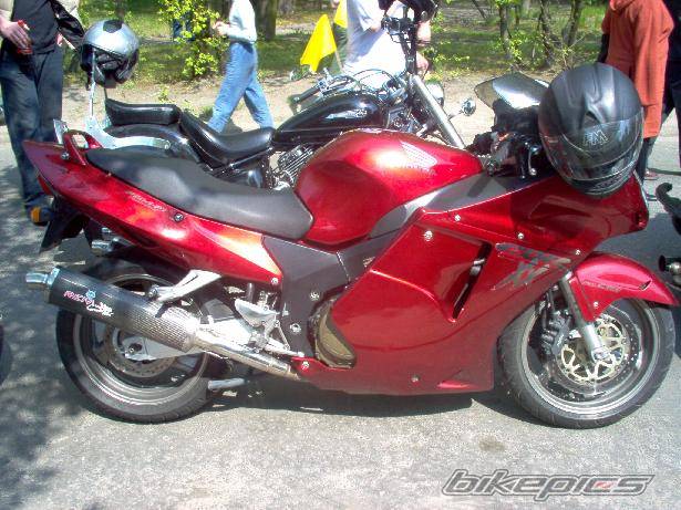 Photo 145310