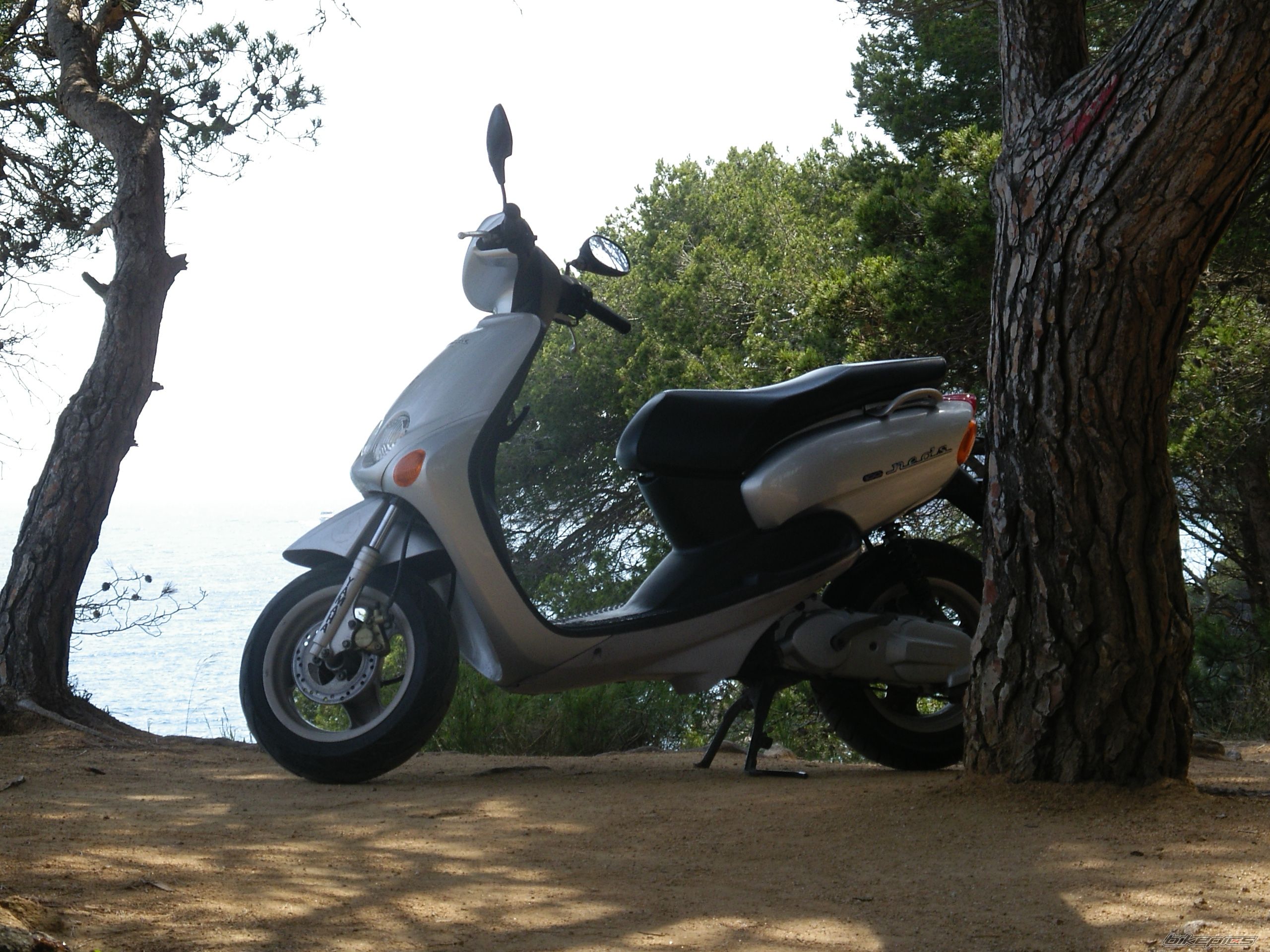 Bike Photo 1453143