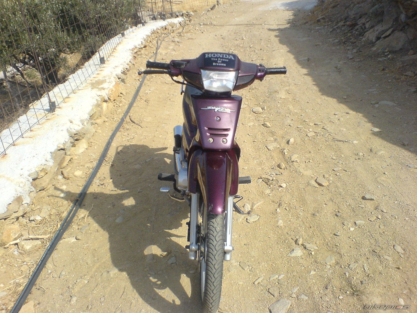 Photo 1453159