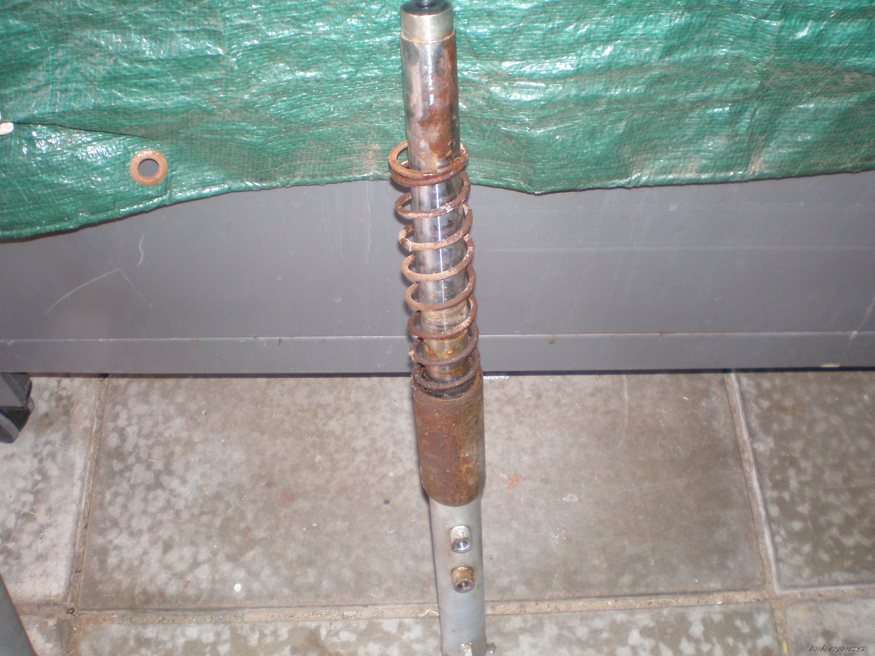 Photo 1453162