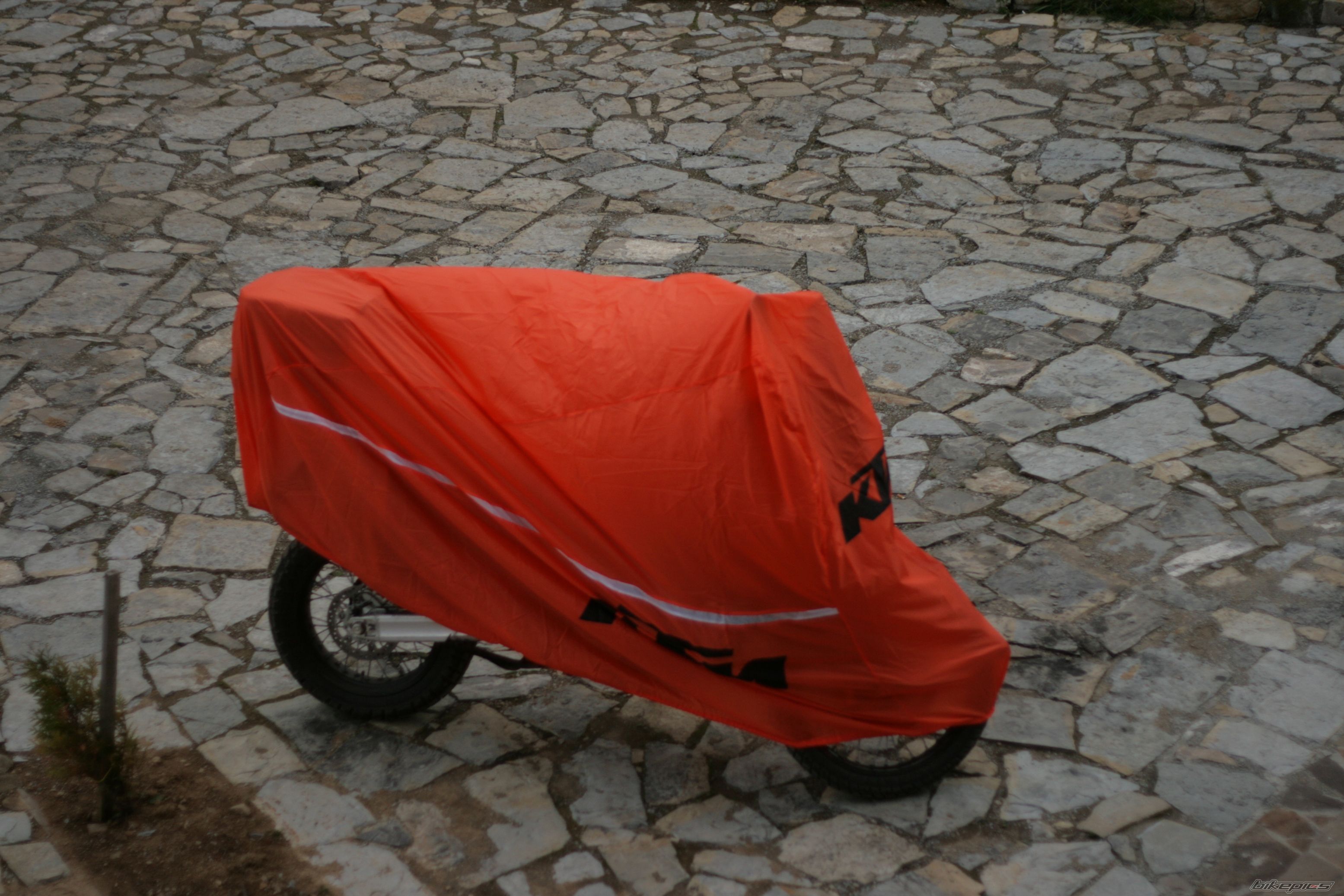 Photo 1453203