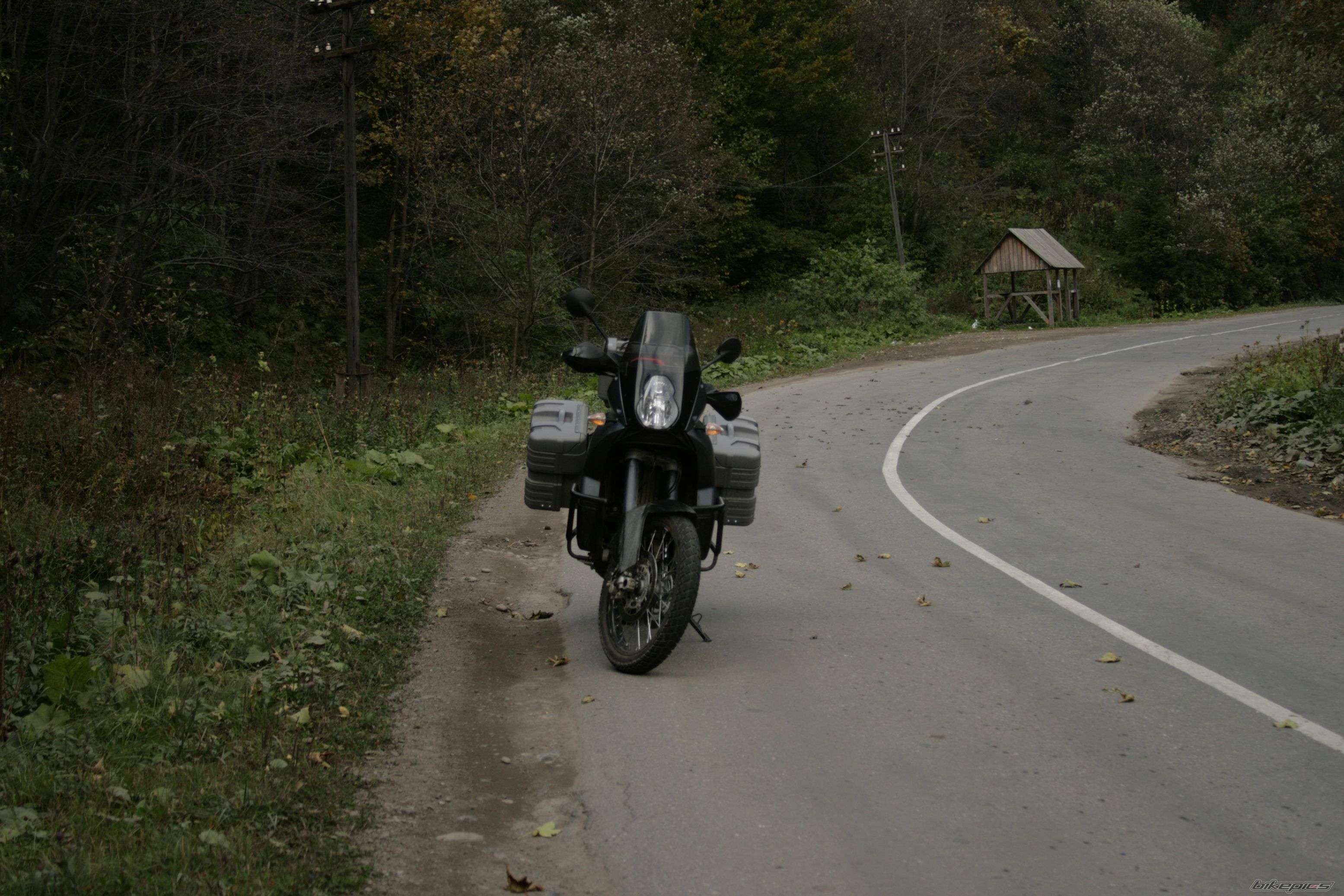 Photo 1453205
