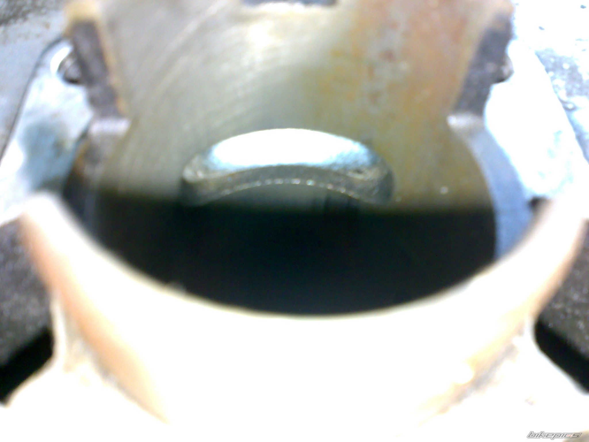 Photo 1453210
