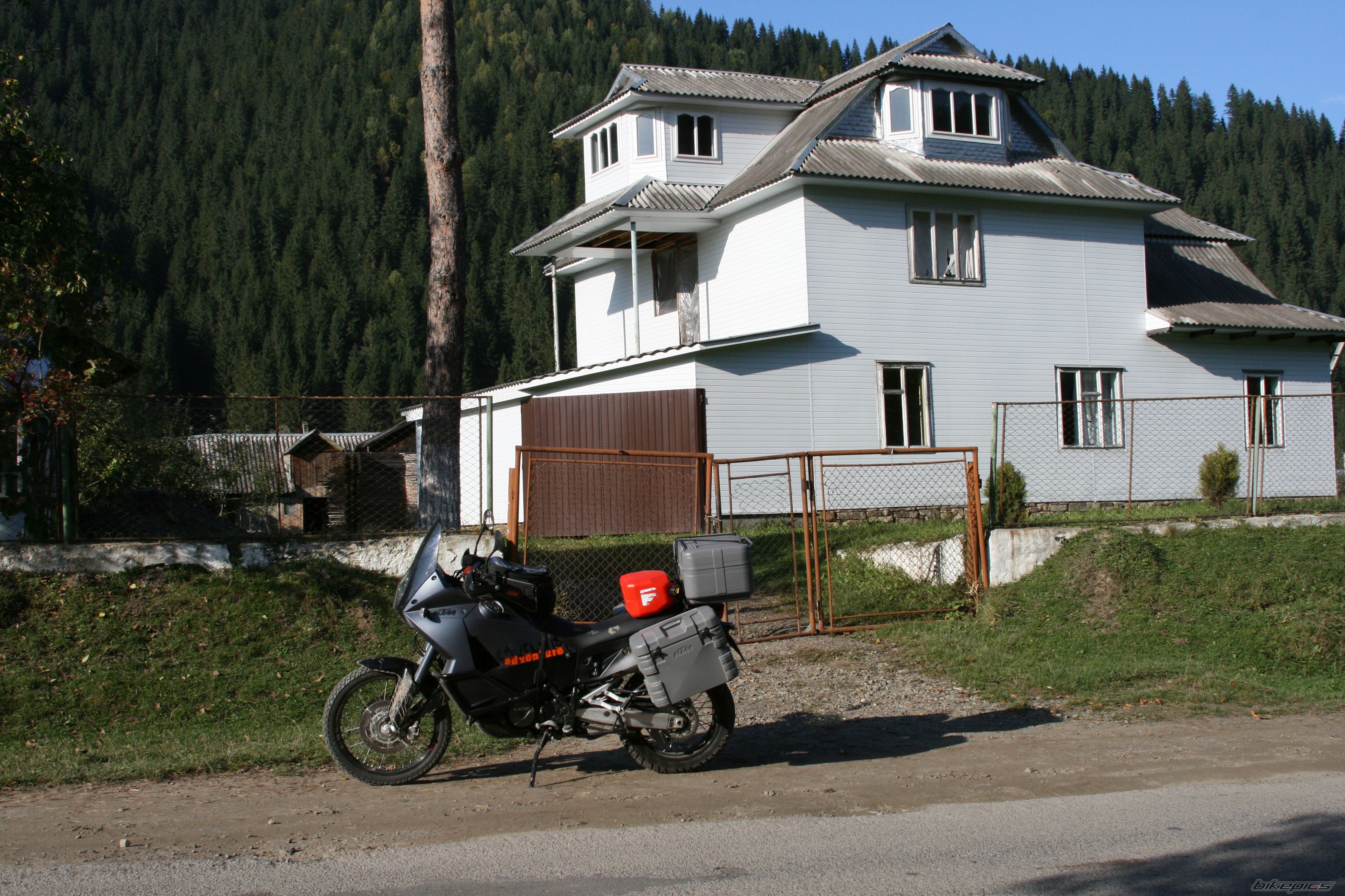 Photo 1453211