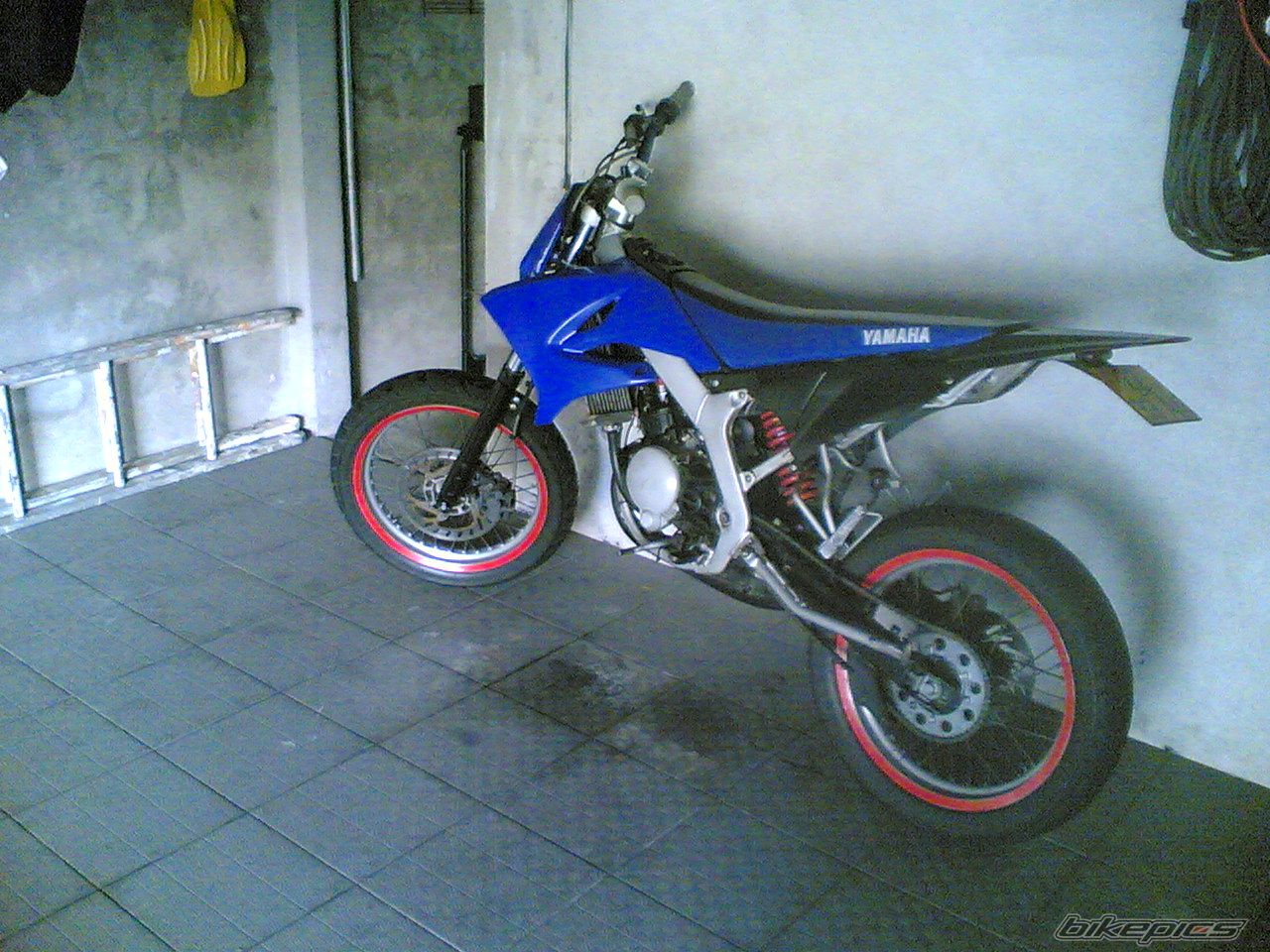 Photo 1453231
