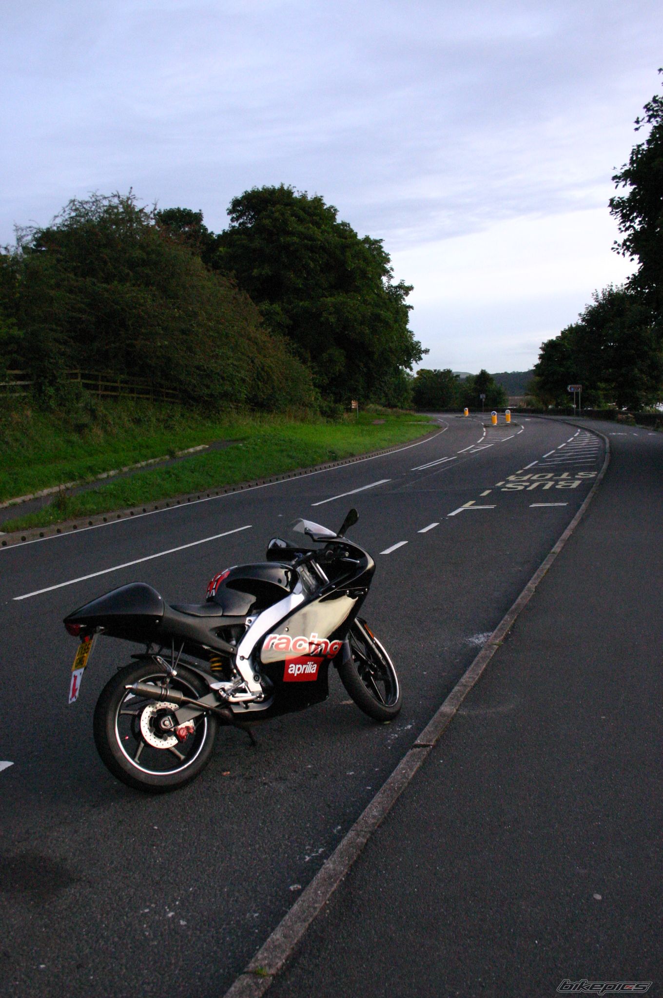 Photo 1453247