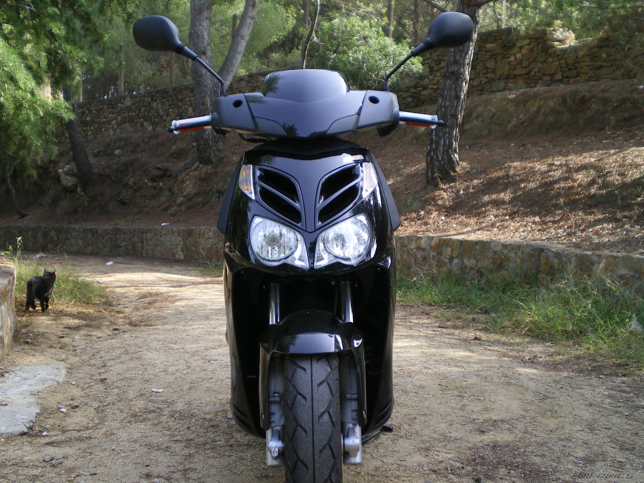 Photo 1453265