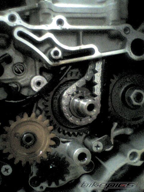 Bike Photo 1453281