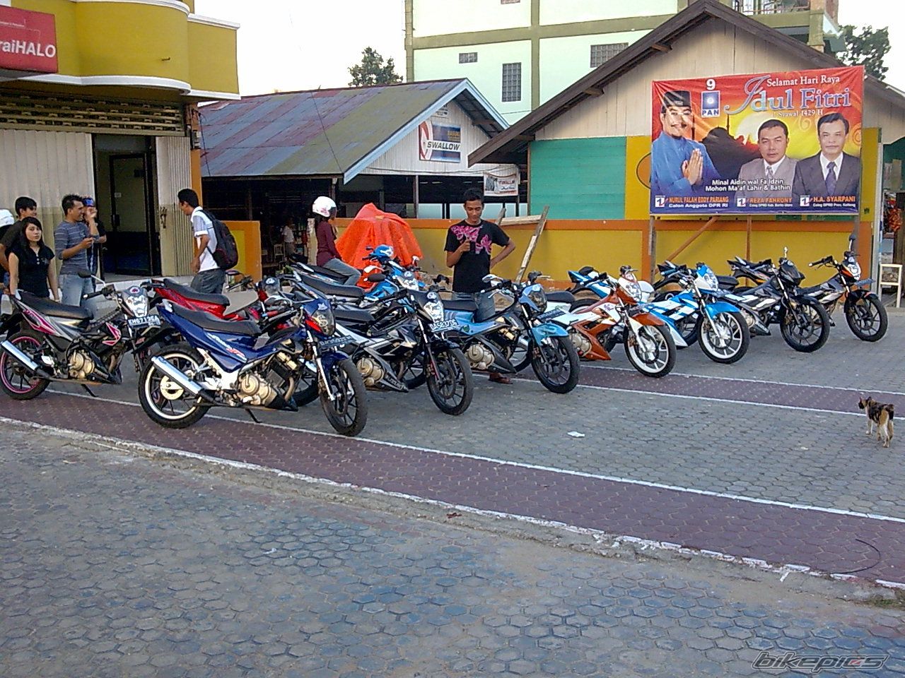 Photo 1453284