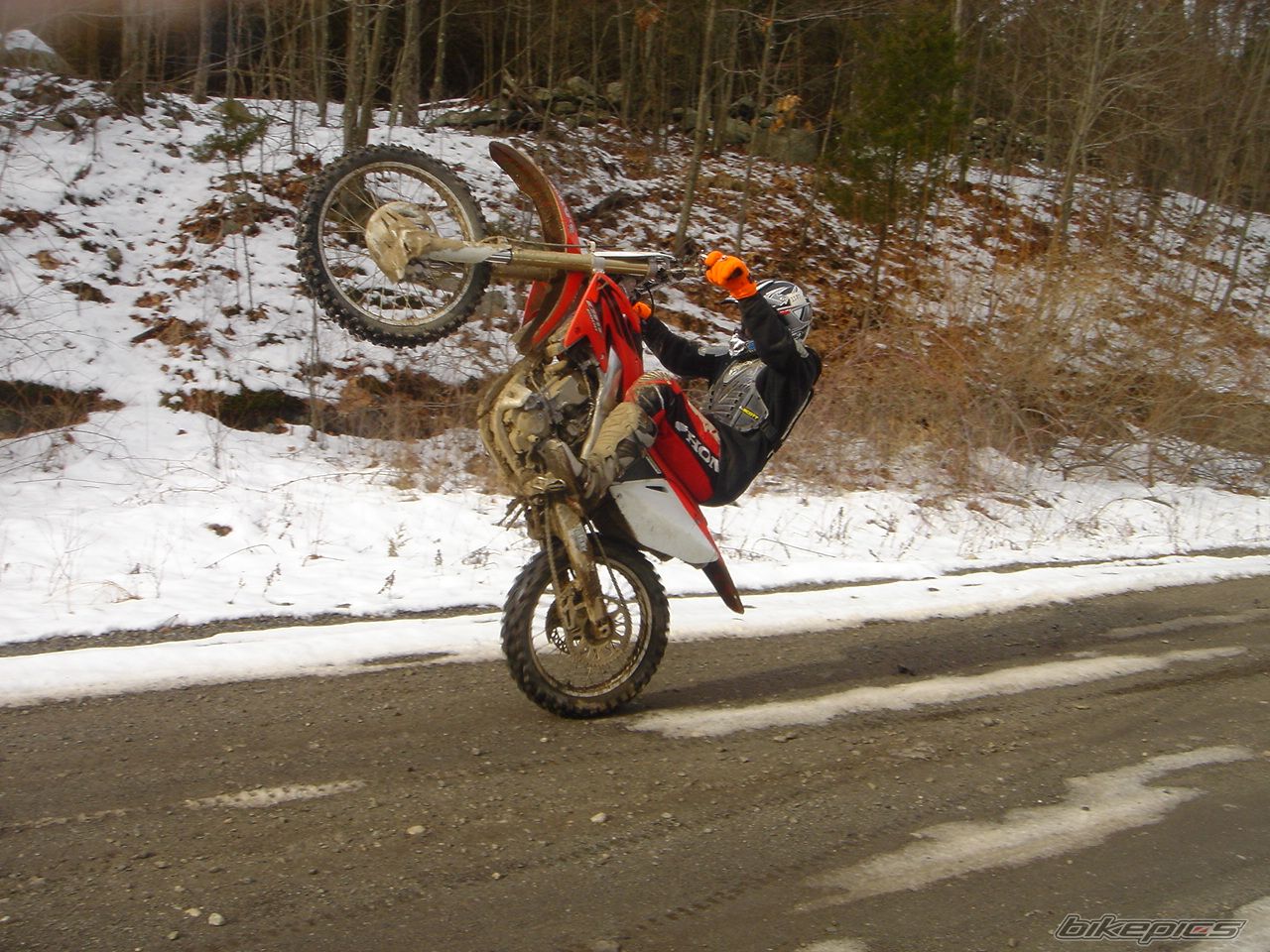 Photo 1453376