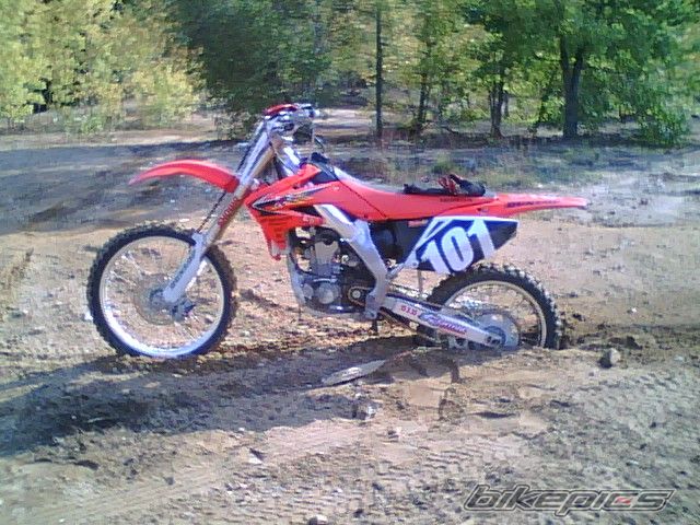 Photo 1453407