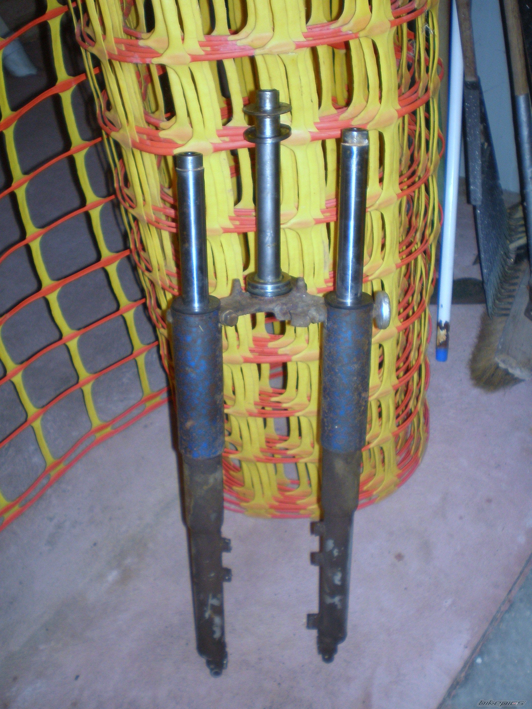 Photo 1453437