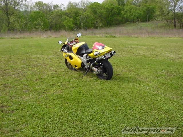 Photo 145345