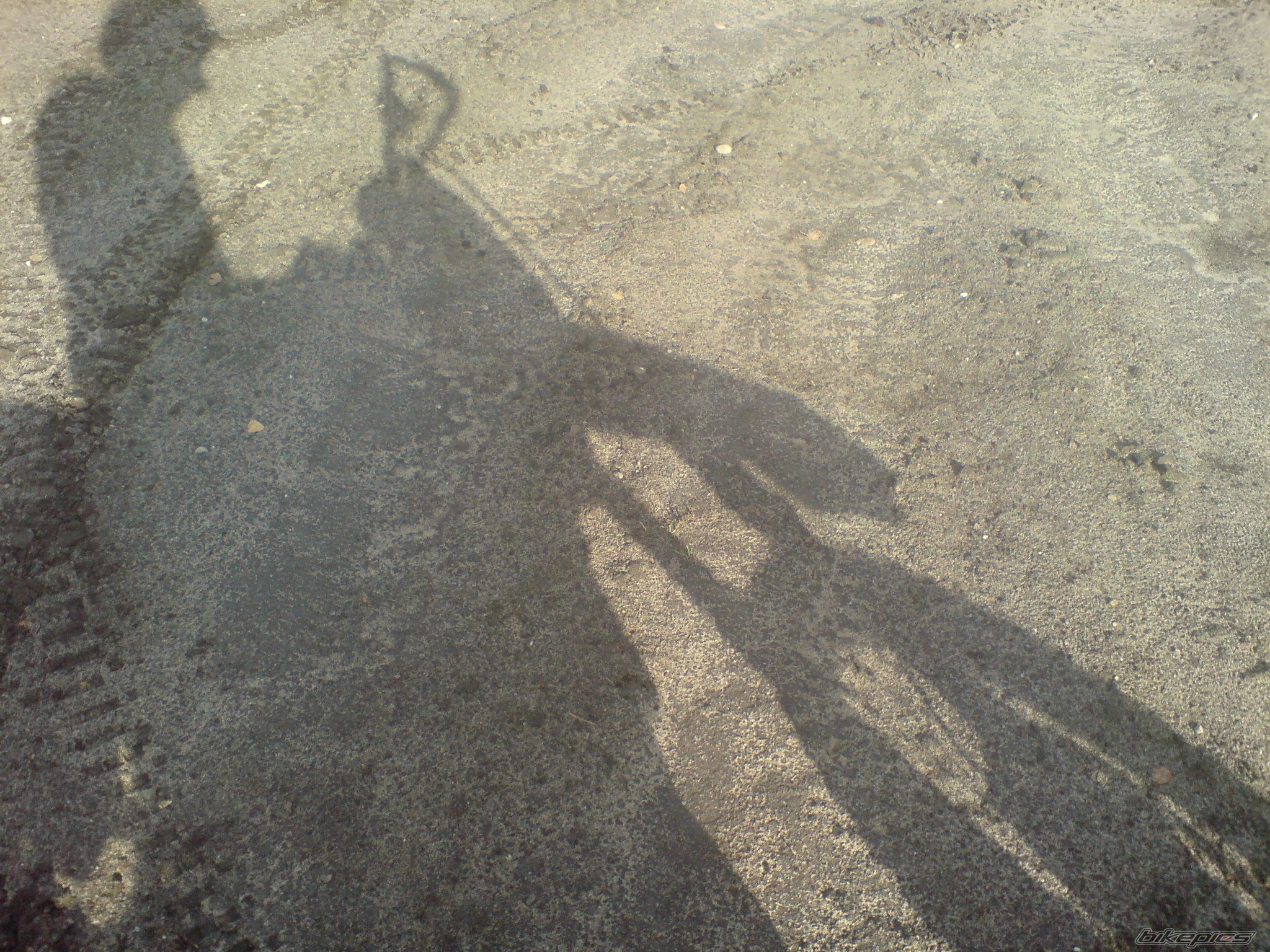 Photo 1453478