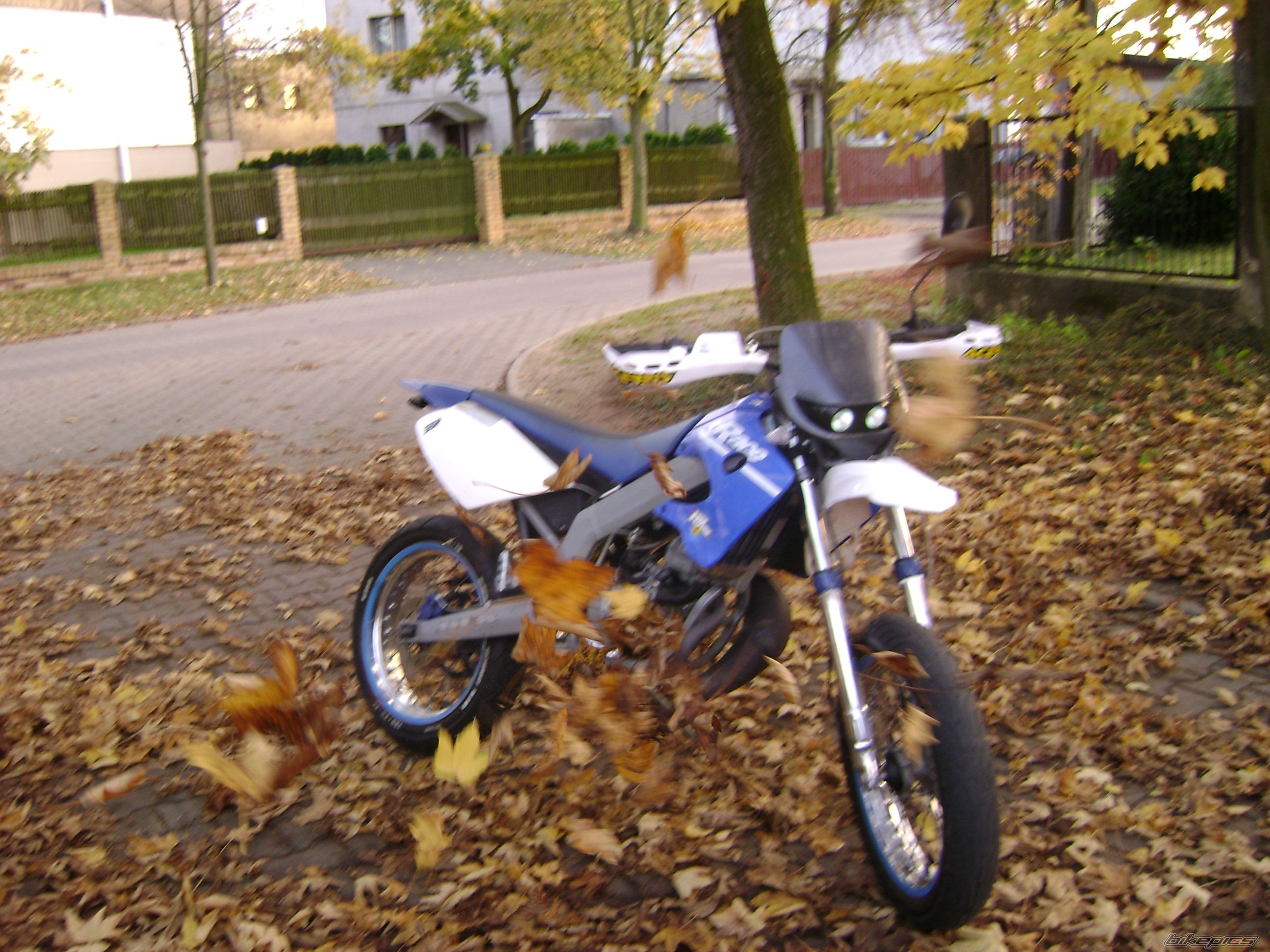 Photo 1453529