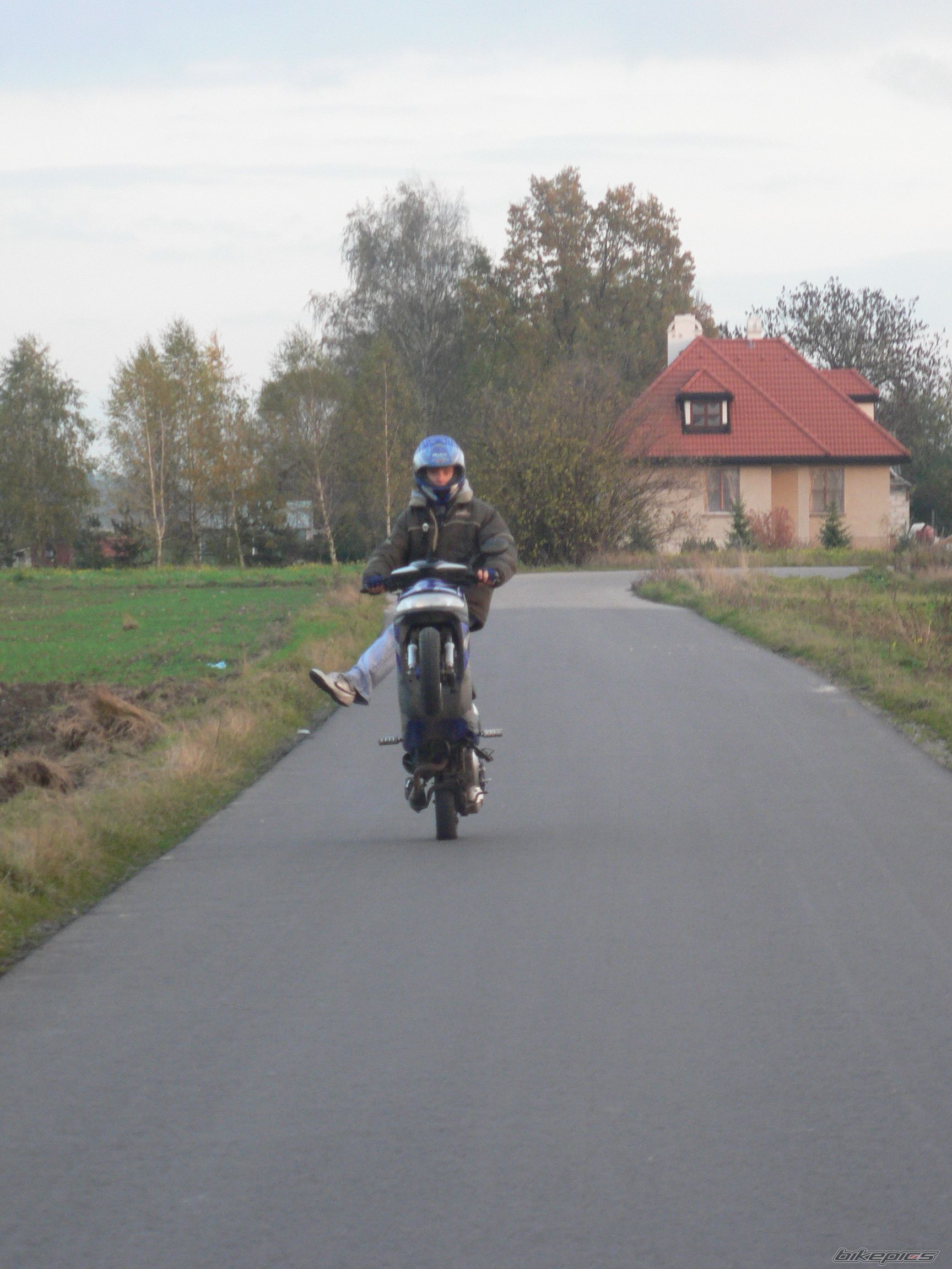 Photo 1453537