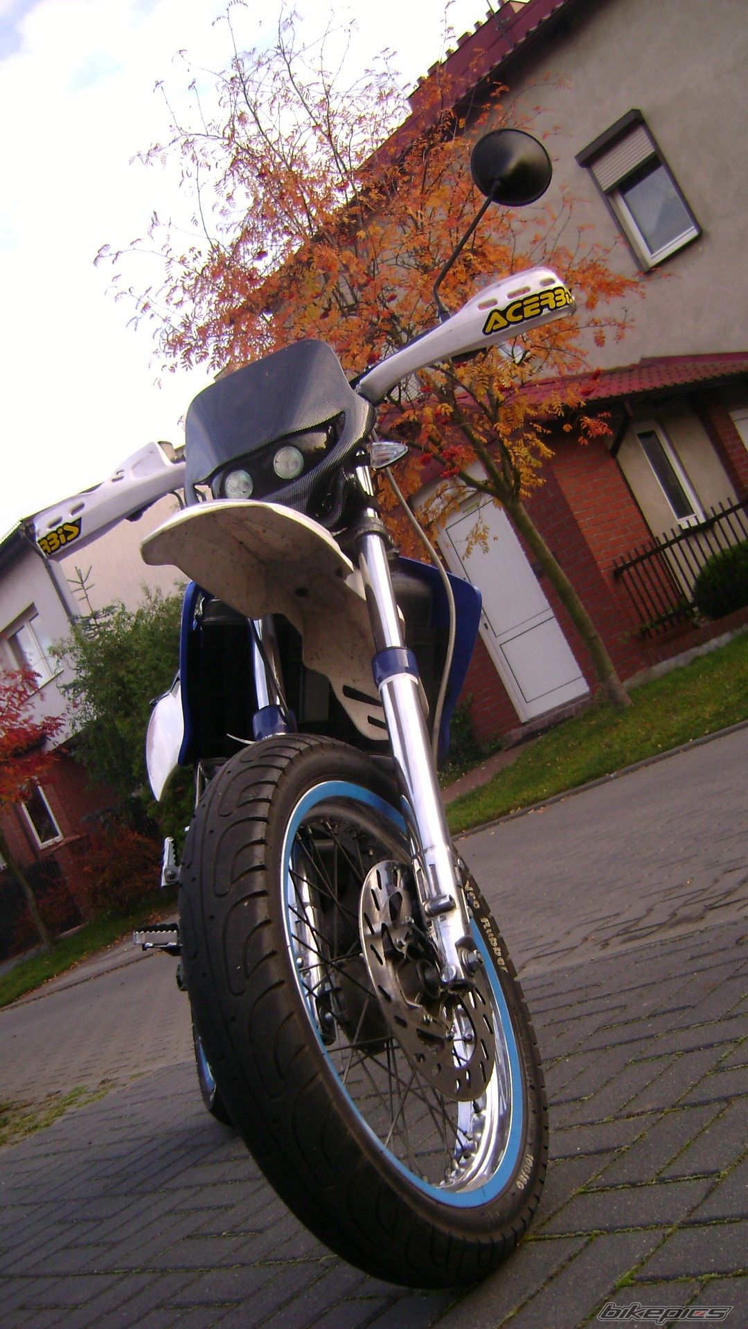 Photo 1453539