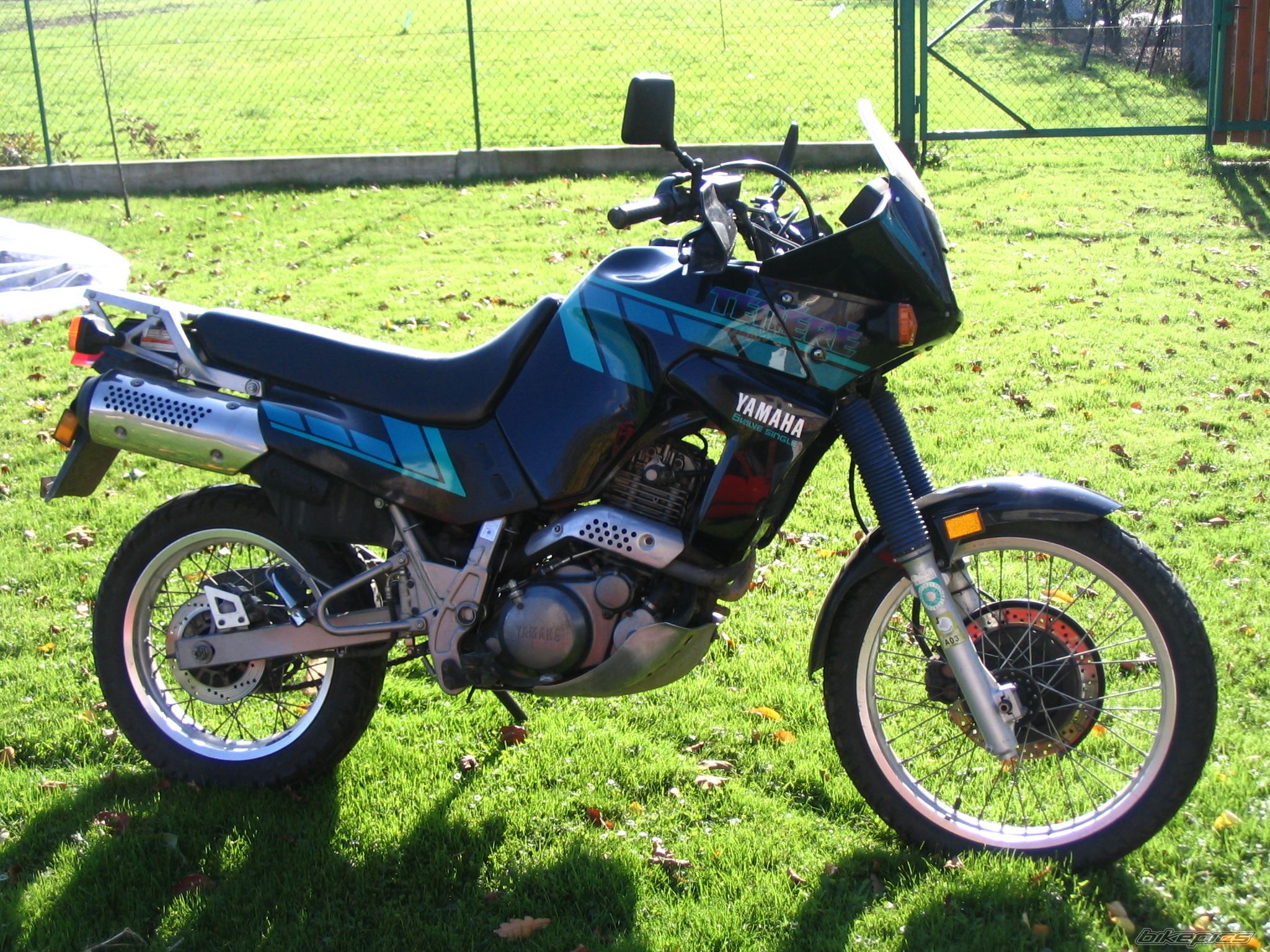 Photo 1453540