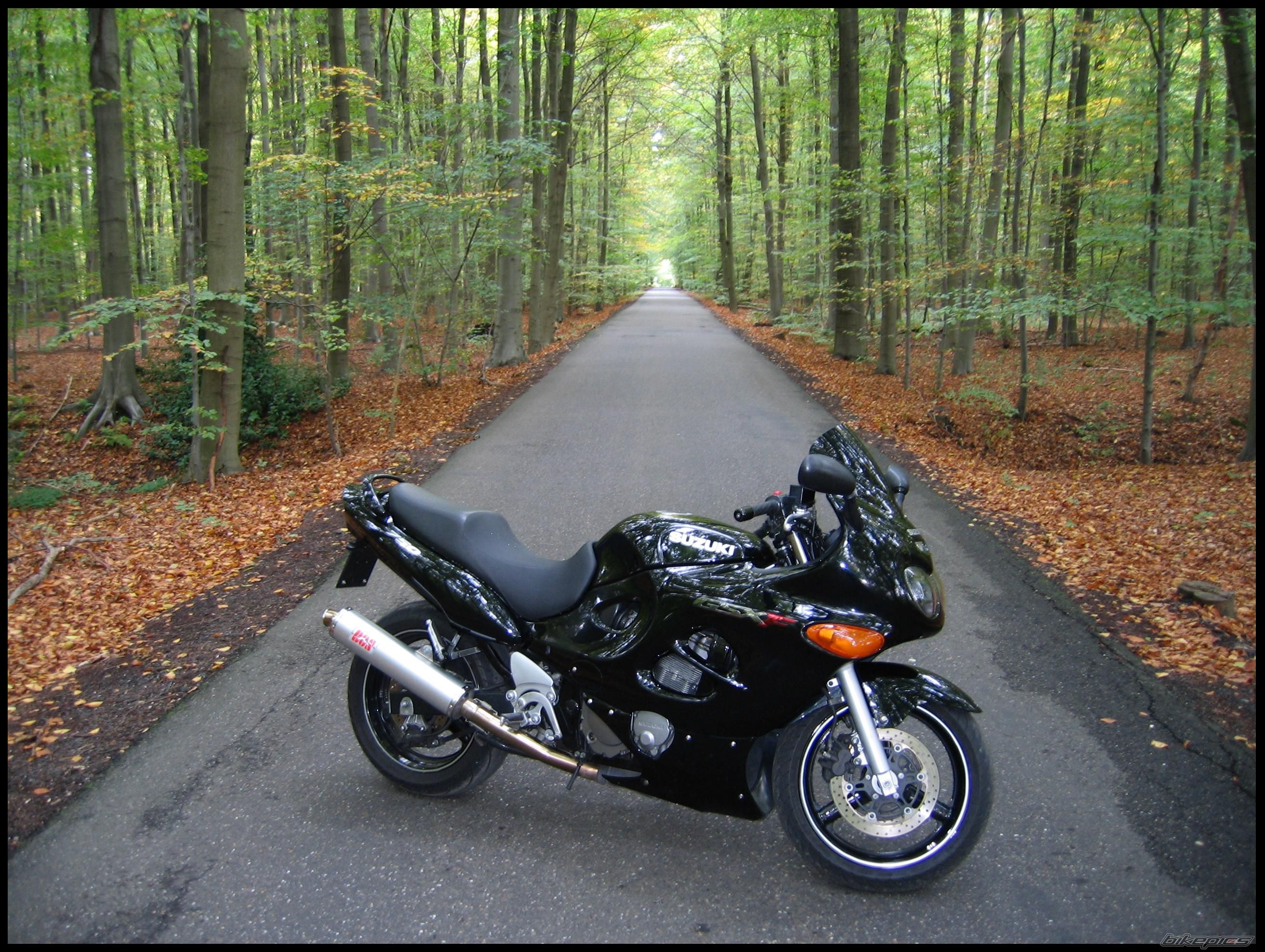 Bike Photo 1453574