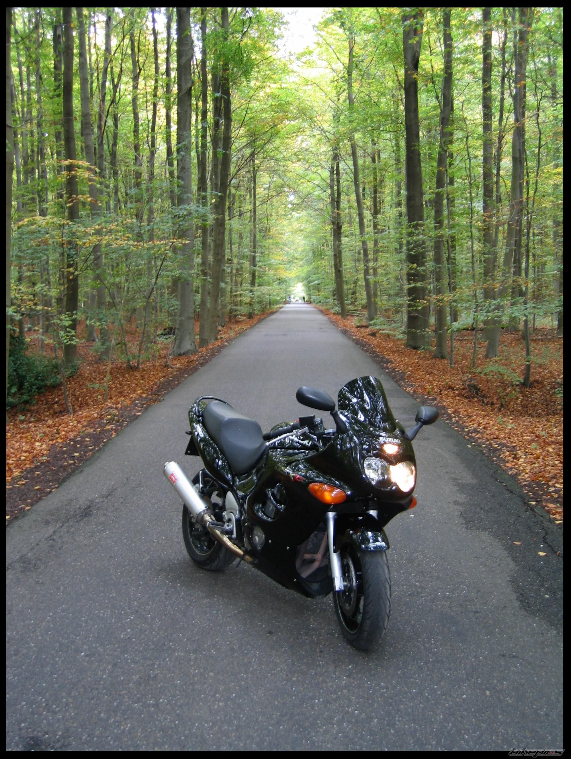 Bike Photo 1453578
