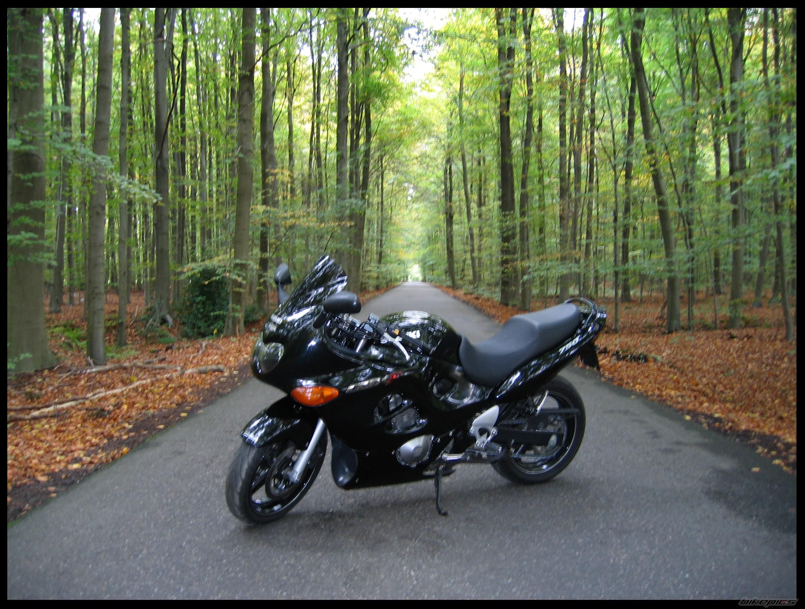 Bike Photo 1453582