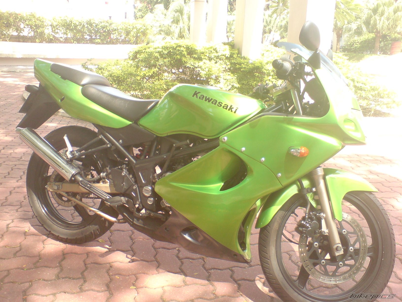 Photo 1453660