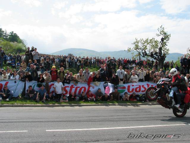 Photo 145368