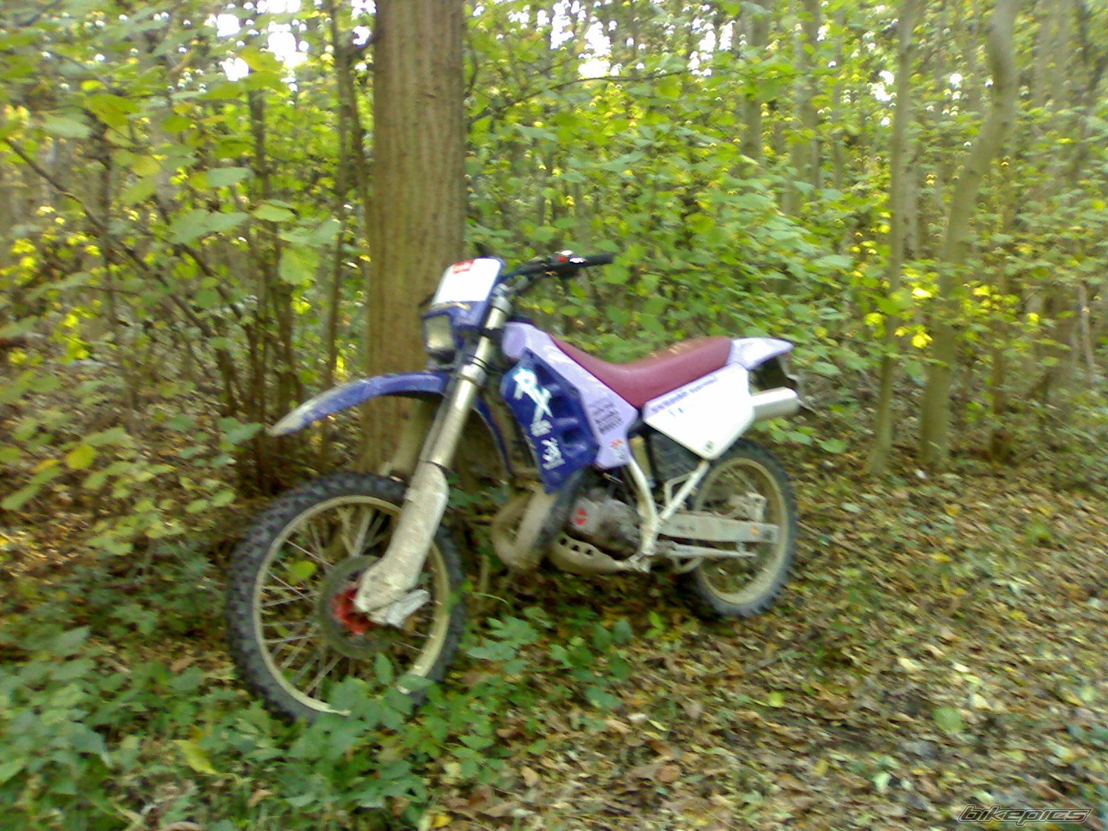 Photo 1453771