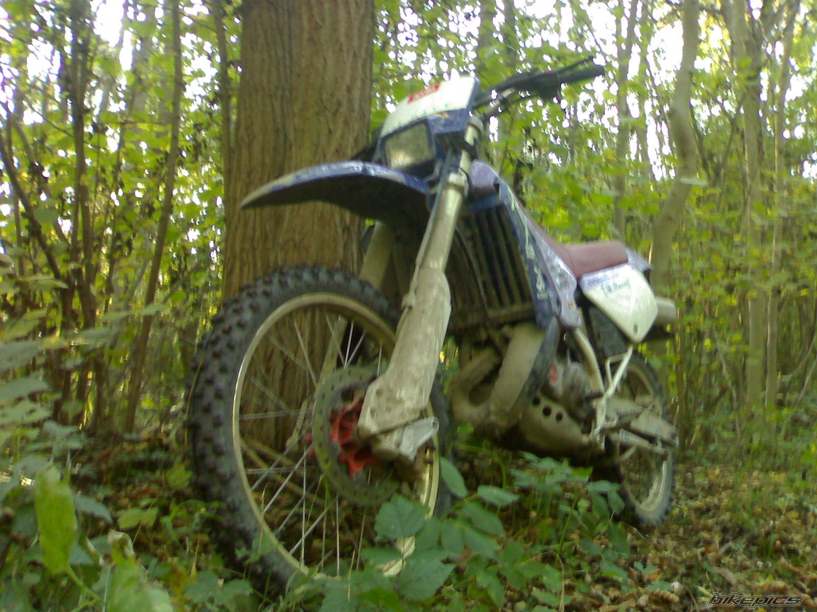 Photo 1453772