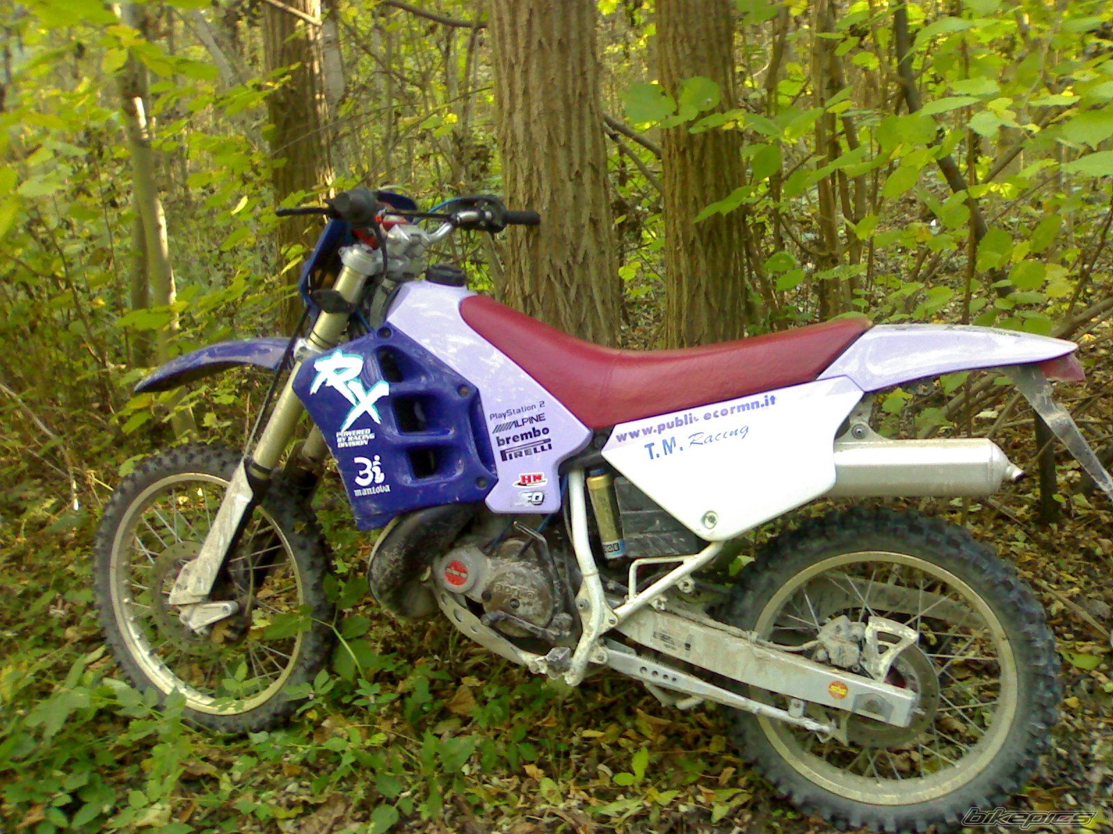 Photo 1453773